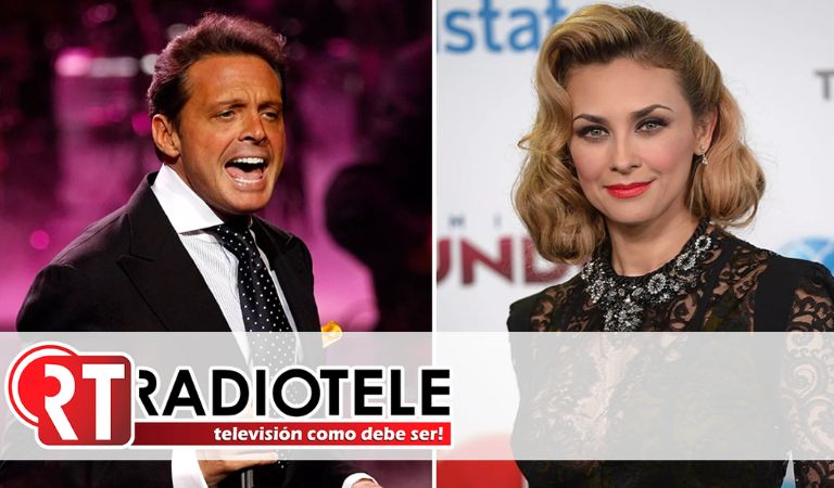 Hijo de Luis Miguel y Aracely Arámbula se lanzaría como cantante el próximo año