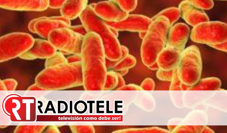 Desde el 3 de diciembre no se detectan contagios por Klebsiella oxytoca en México: Secretaría de Salud