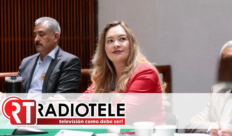 Garantías de las y los mexicanos son pisoteadas por gobierno de Morena, acusa diputa del PRI Mónica Sandoval