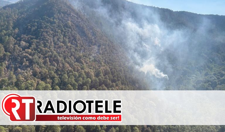 Atendido incendio forestal en zona del bosque de la Mariposa Monarca: Cofom