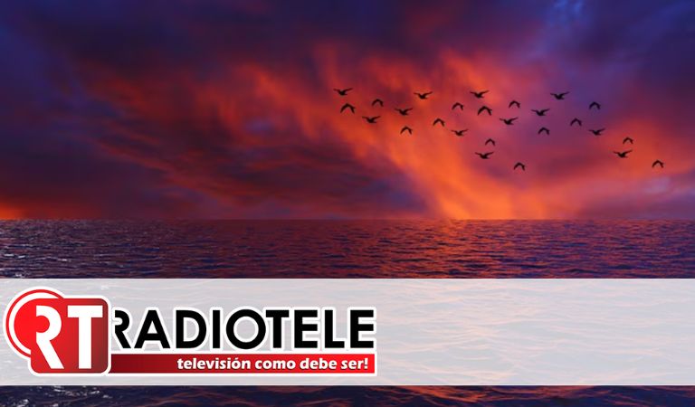 El extraño fenómeno que destruye los océanos