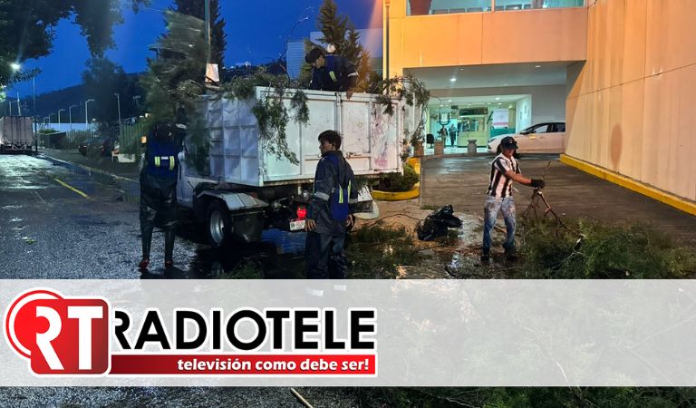Retira Ayuntamiento de Morelia árboles caídos por lluvias