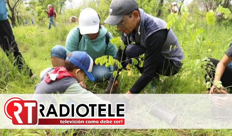 ¡Vamos a reforestar! Únete a la campaña para plantar 10 millones de árboles: Secma