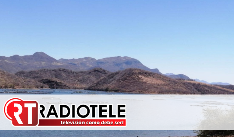 Compesca siembra 200 mil crías de tilapia en la Presa del Gallo en Tiquicheo