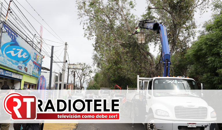 Brigadas de la Secretaría de Servicios Públicos intervienen el Río Chiquito