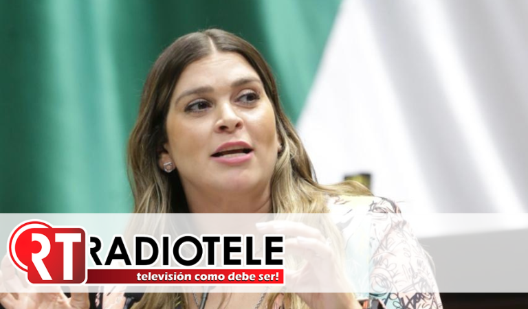 Sin presupuesto, Ley de Telecomunicaciones no garantiza internet ni conectividad a mexicanos: diputada del PRI Ana González