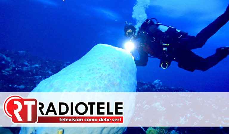 El ser vivo hallado en el Pacífico que sorprende a la ciencia: lleva más de 400 años creciendo bajo el mar