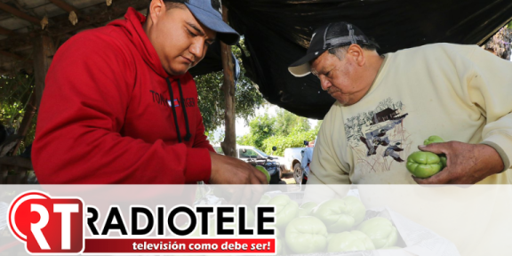 En aumento la formalización laboral en Michoacán: Bedolla