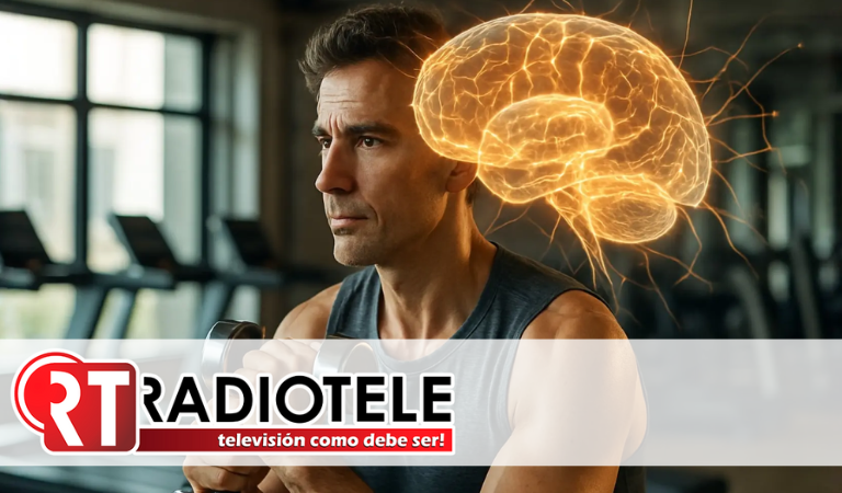 Fortalecer la musculatura y eliminar la grasa visceral mantiene el cerebro joven